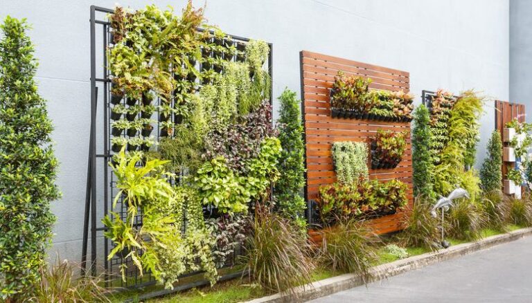 vertical garden